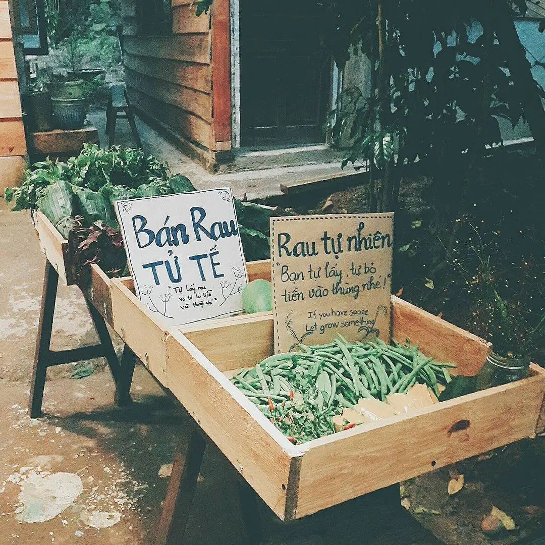 Quán của Thời Thanh Xuân Đà Lạt, nơi lưu giữ những hạnh phúc 7