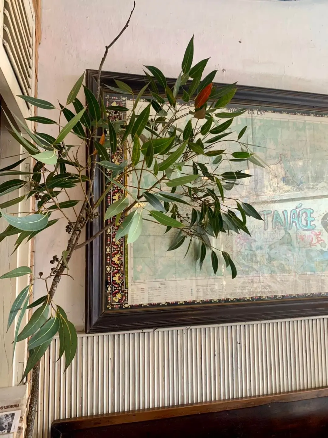Review Bicyle Up Cafe - Qu&aacute;n cafe với kh&ocirc;ng gian retro đặc biệt giữa l&ograve;ng Đ&agrave; Lạt 6