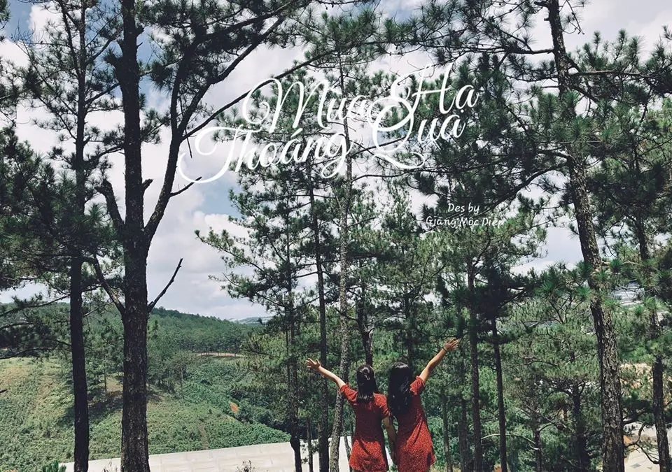 Review Đ&agrave; Lạt 3N2Đ từ A đến Z cho c&aacute;c travelholic ch&iacute;nh hiệu 4