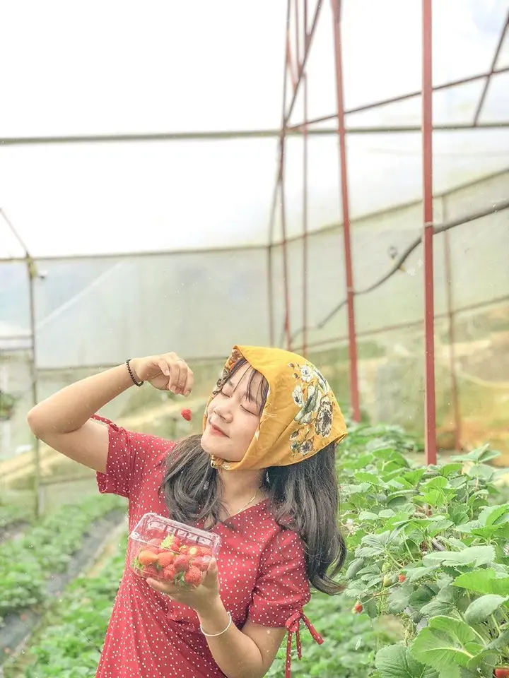 Review Đ&agrave; Lạt 3N2Đ từ A đến Z cho c&aacute;c travelholic ch&iacute;nh hiệu 5