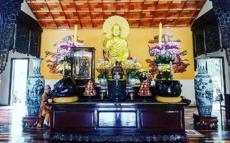 Thiền viện Trúc Lâm Đà Lạt: Chốn bình yên giữa rừng thông xanh 5