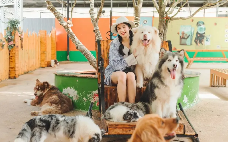 Top 14 khu vui chơi trẻ em ở Đ&agrave; Lạt th&uacute; vị trong dịp h&egrave; n&agrave;y 9
