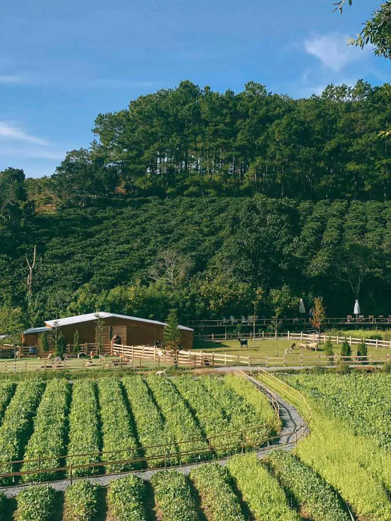 V&ugrave;ng ngoại &ocirc; Đ&agrave; Lạt y&ecirc;n b&igrave;nh c&oacute; thể bạn chưa biết 9
