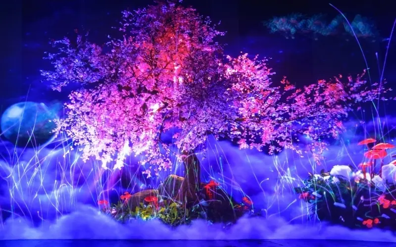 Vườn &Aacute;nh S&aacute;ng Lumiere: Nghệ thuật &aacute;nh s&aacute;ng giữa l&ograve;ng phố n&uacute;i 7