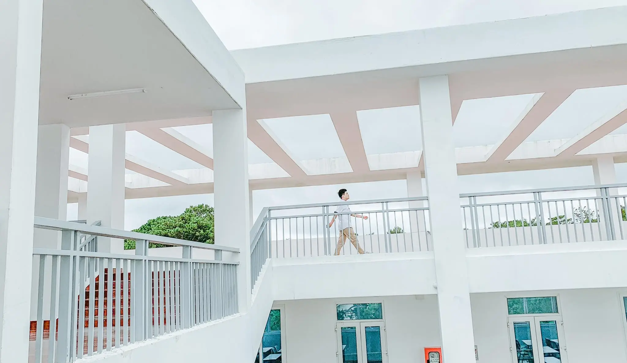 Đại học Đà Lạt, tọa độ check in trong veo ít người biết