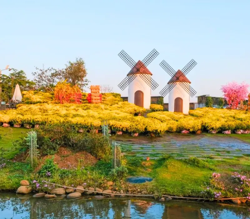 Mongo Land Dalat: Review A - Z giá vé và hoạt động vui chơi