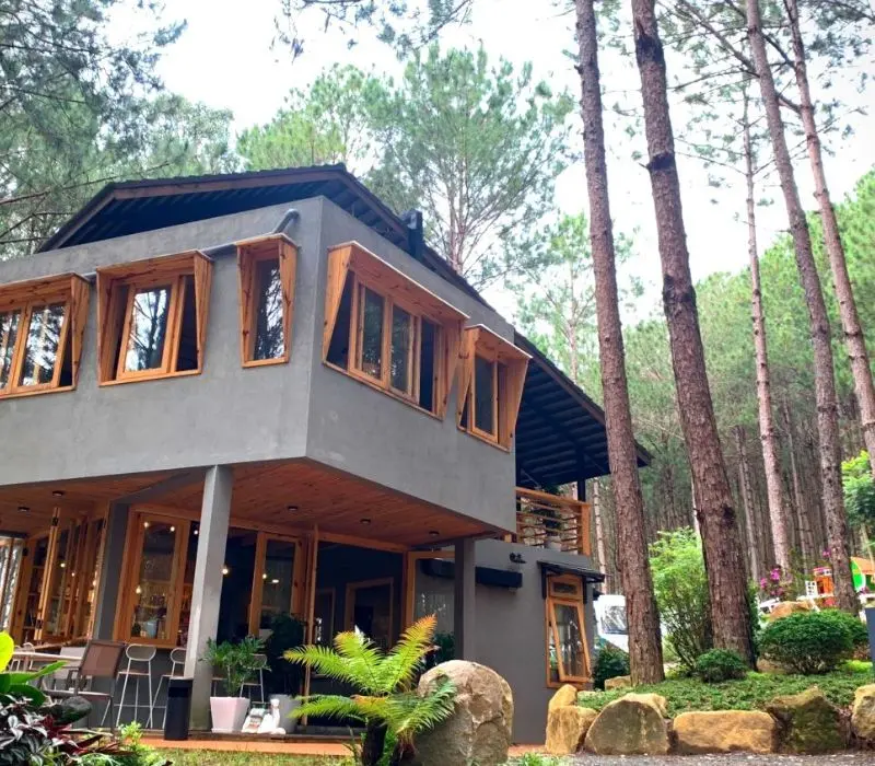 Rừng Thông Mơ Farm & Bistro: Điểm đến lý tưởng cho kỳ nghỉ cuối tuần