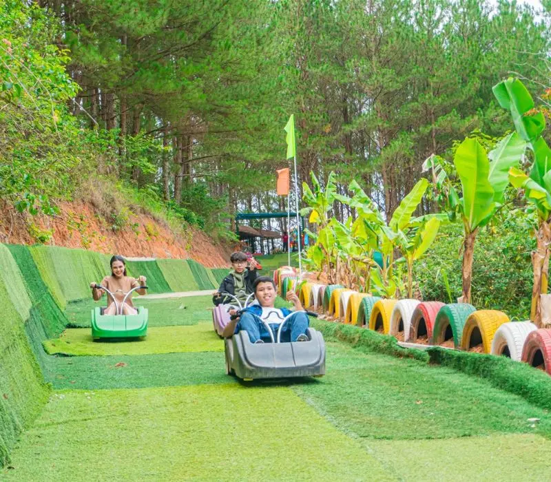Trượt cỏ Đà Lạt: Trải nghiệm thư giãn và độc đáo