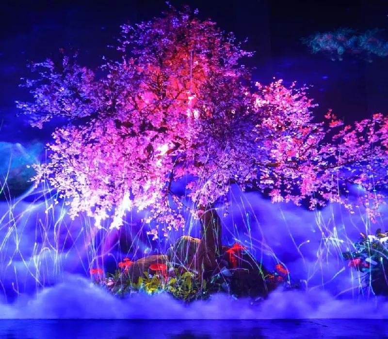 Vườn Ánh Sáng Lumiere: Nghệ thuật ánh sáng giữa lòng phố núi