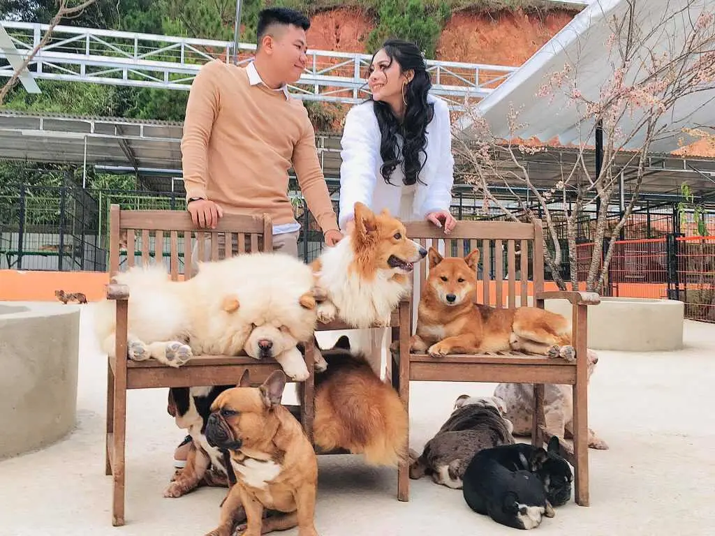 Gợi &yacute; lịch tr&igrave;nh Đ&agrave; Lạt 4N3Đ tự t&uacute;c cho cặp đ&ocirc;i chi tiết v&agrave; thực tế nhất 9