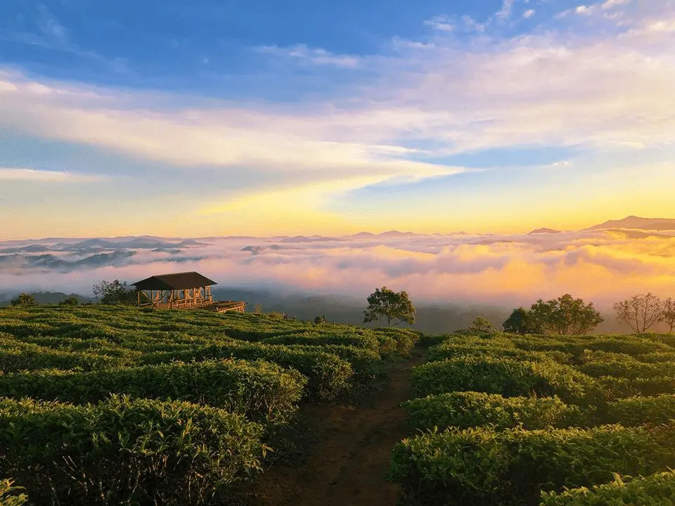 Gợi &yacute; lịch tr&igrave;nh tour Đ&agrave; Lạt 4 ng&agrave;y 3 đ&ecirc;m tự t&uacute;c ăn chơi tẹt ga 2