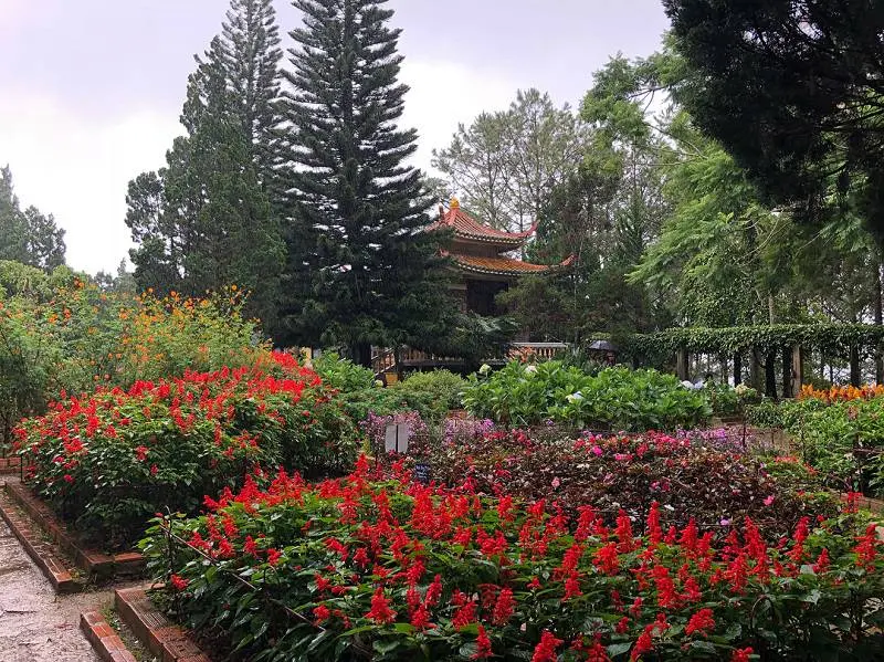 Trải nghiệm một ngày tại Thiền viện Trúc Lâm - Điểm đến linh thiêng sở hữu vẻ đẹp thiên nhiên thoát tục 16