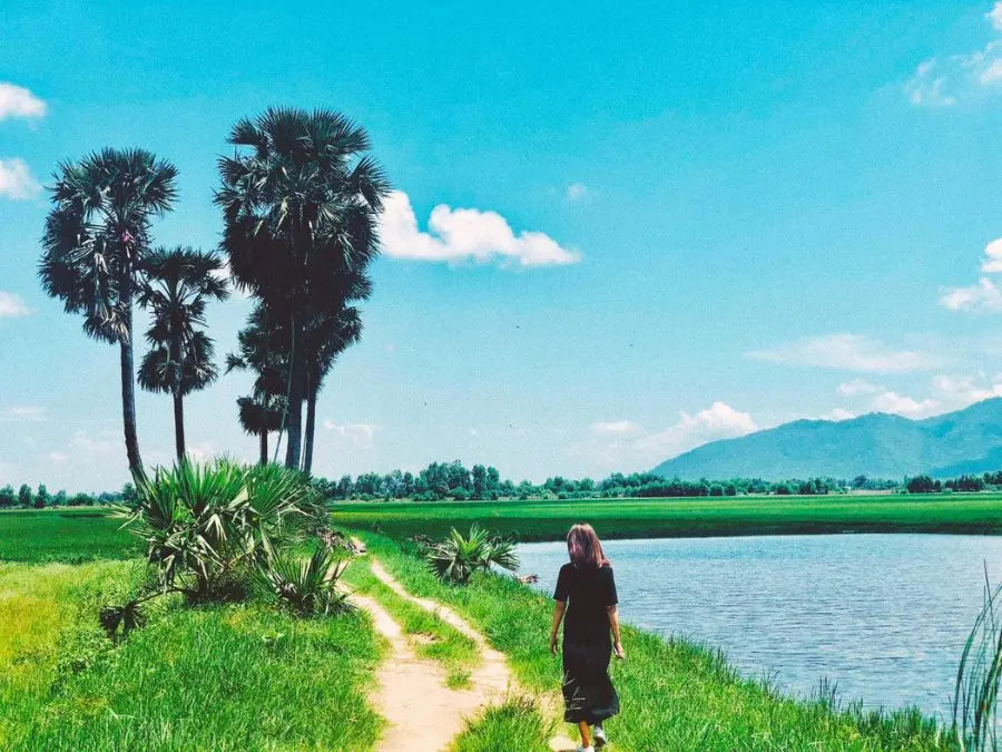 C&acirc;y thốt nốt tr&aacute;i tim, điểm check in g&acirc;y sốt tại mảnh đất An Giang 4