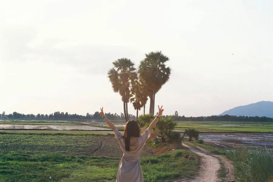 C&acirc;y thốt nốt tr&aacute;i tim, điểm check in g&acirc;y sốt tại mảnh đất An Giang 3