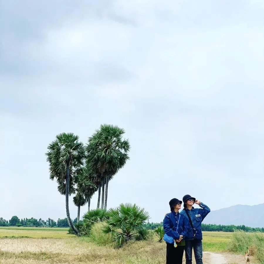 C&acirc;y thốt nốt tr&aacute;i tim, điểm check in g&acirc;y sốt tại mảnh đất An Giang 5