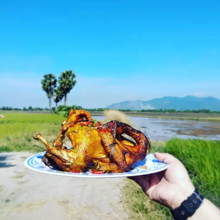 C&acirc;y thốt nốt tr&aacute;i tim, điểm check in g&acirc;y sốt tại mảnh đất An Giang 6