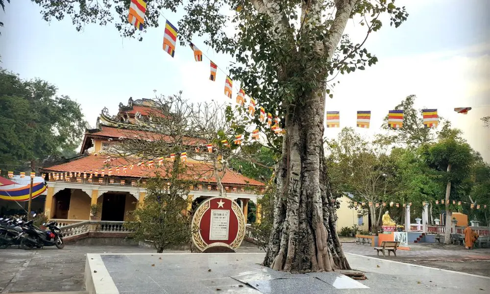 Ch&ugrave;a Ho&agrave; Thạnh (Ch&ugrave;a C&acirc;y M&iacute;t) gắn liền với lịch sử h&agrave;o h&ugrave;ng của d&acirc;n tộc 4