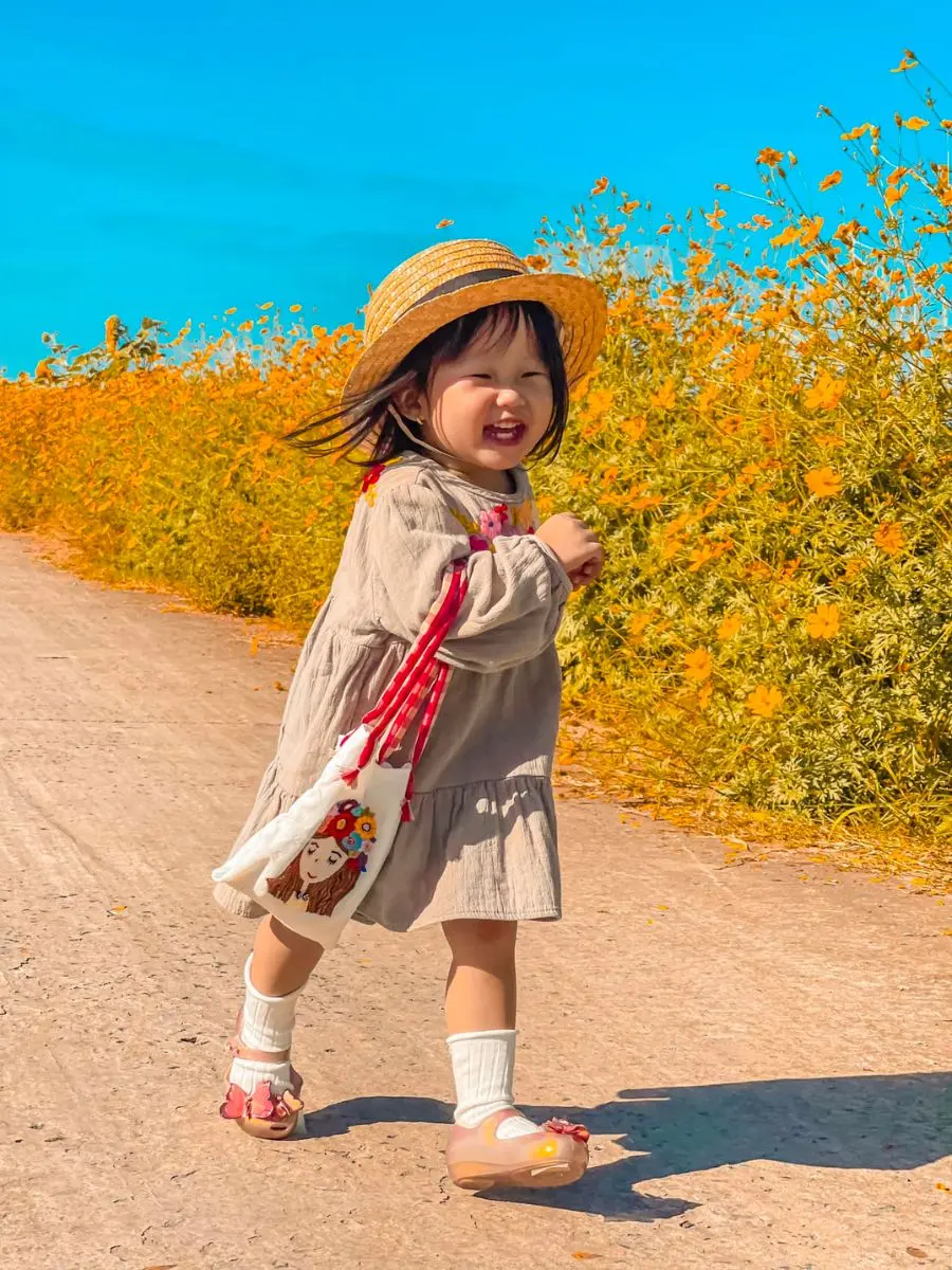 Con đường hoa sao nh&aacute;i thơ mộng đốn gục bao tr&aacute;i tim người lữ h&agrave;nh 3