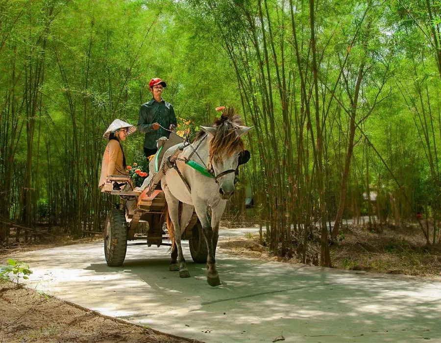 Con đường tầm vong &Ocirc; T&agrave; S&oacute;c đẹp tựa tranh vẽ tại An Giang 3