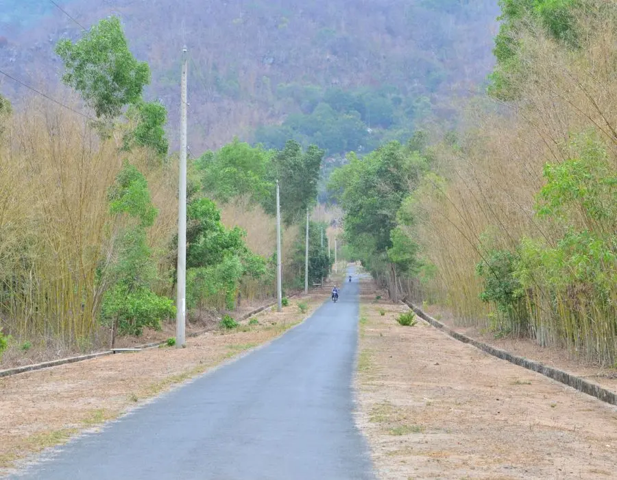 Con đường tầm vong &Ocirc; T&agrave; S&oacute;c đẹp tựa tranh vẽ tại An Giang 2