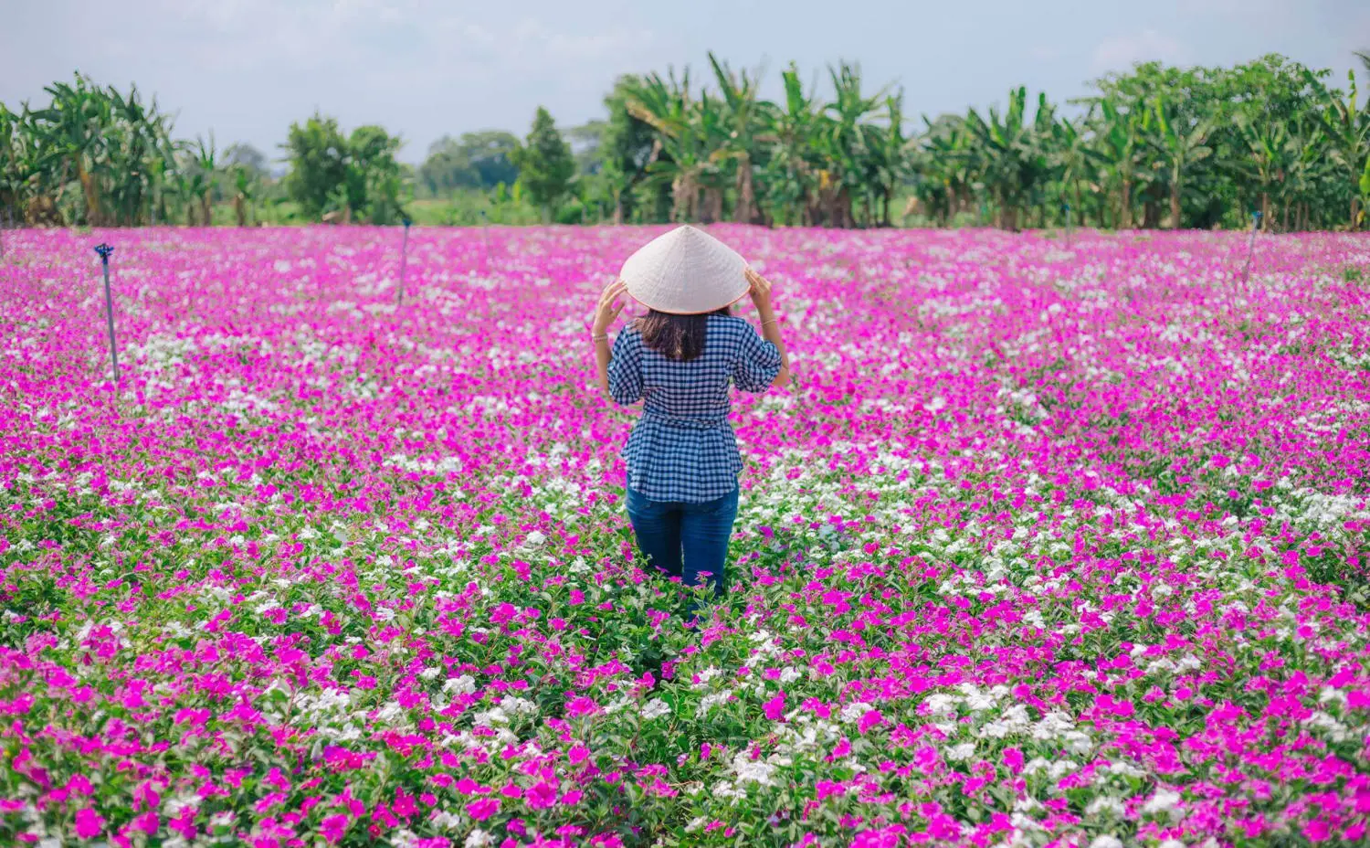 Du lịch Ph&uacute; T&acirc;n An Giang kh&aacute;m ph&aacute; khu sinh th&aacute;i đầy th&uacute; vị 3