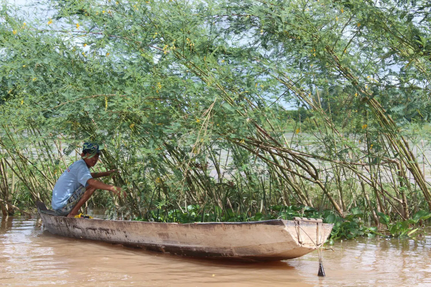 Du lịch Ph&uacute; T&acirc;n An Giang kh&aacute;m ph&aacute; khu sinh th&aacute;i đầy th&uacute; vị 4