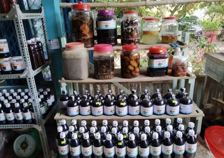 Gh&eacute; thăm Vườn D&acirc;u Tằm Mỹ Kh&aacute;nh nổi tiếng ở An Giang 6