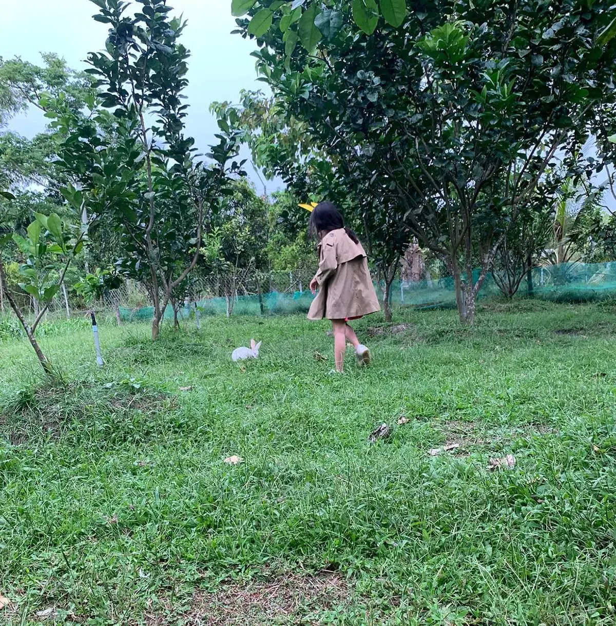 Kh&aacute;m ph&aacute; khu sinh th&aacute;i ẩm thực Hana Bana với nhiều hoạt động cực th&uacute; vị 4