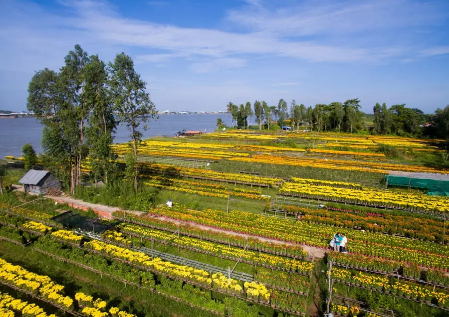 Kh&aacute;m ph&aacute; l&agrave;ng hoa An Thạnh rực rỡ sắc m&agrave;u của xứ An Giang 2