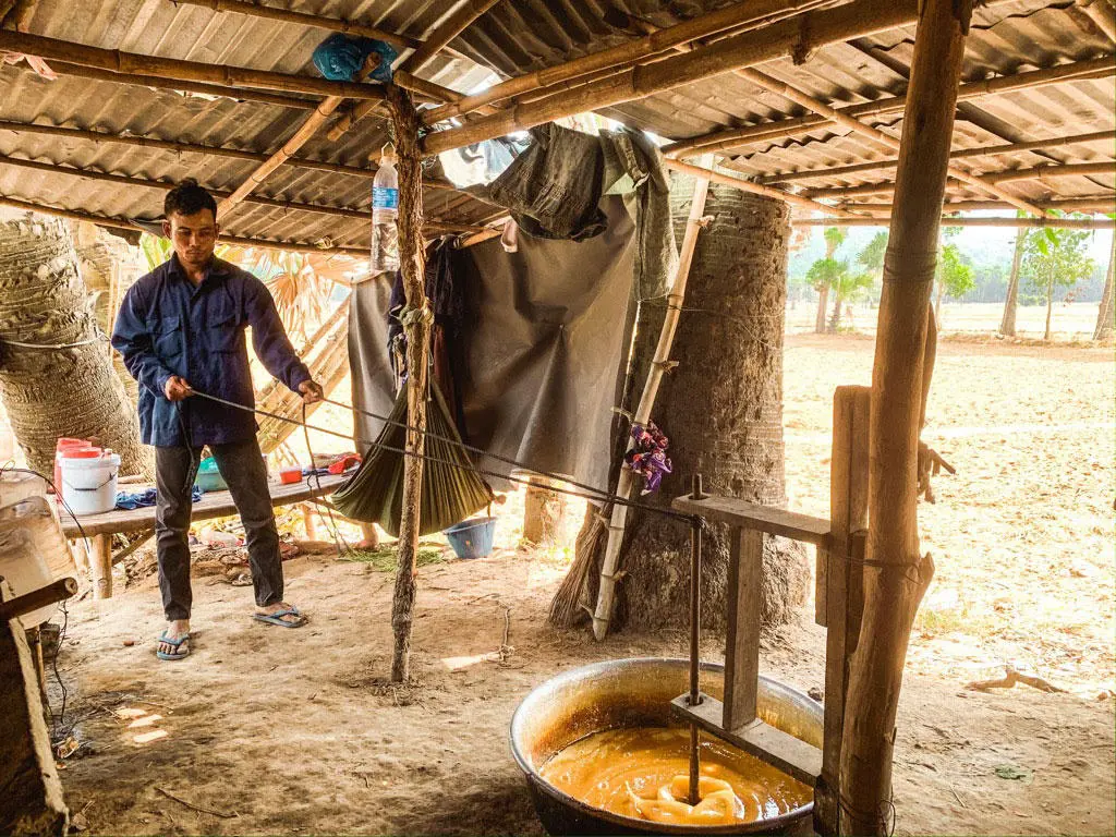 Kh&aacute;m ph&aacute; l&agrave;ng nghề nấu đường thốt nốt ở An Giang v&agrave;o m&ugrave;a kh&ocirc; 8