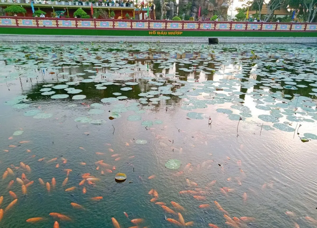 Miếu B&agrave; Ch&uacute;a Xứ B&agrave;u Mướp Tịnh Bi&ecirc;n, kh&ocirc;ng gian b&igrave;nh y&ecirc;n ở An Giang 4