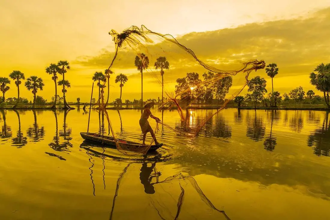 Những địa điểm Chụp ảnh với c&acirc;y thốt nốt An Giang 8