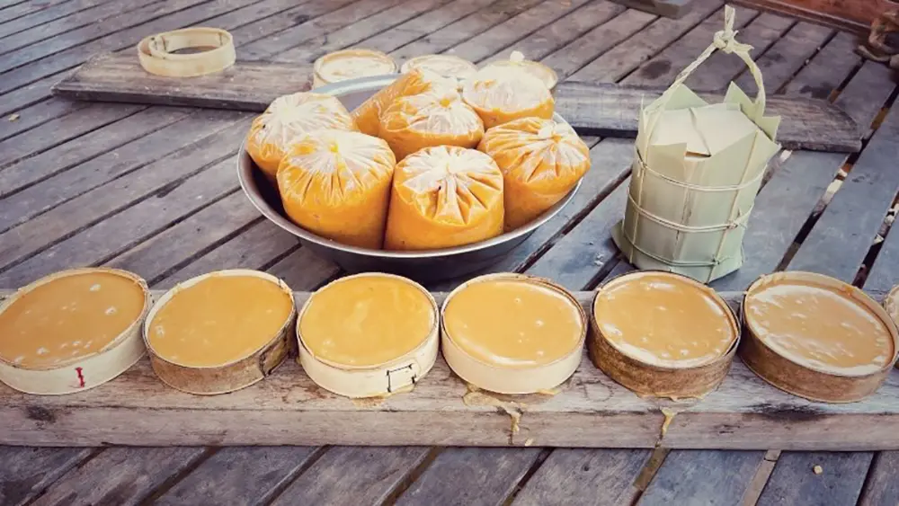 Những địa điểm Chụp ảnh với c&acirc;y thốt nốt An Giang 19