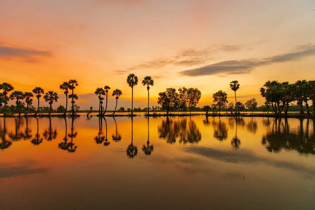 Những địa điểm Chụp ảnh với c&acirc;y thốt nốt An Giang 7