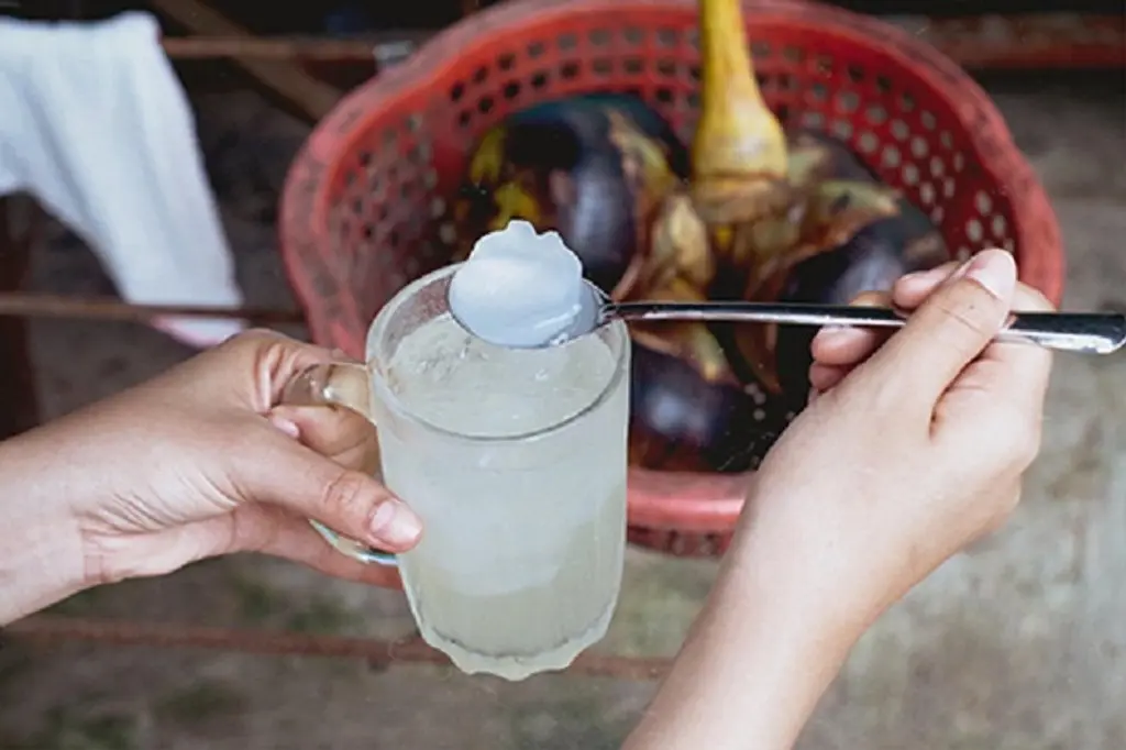 Những địa điểm Chụp ảnh với c&acirc;y thốt nốt An Giang 17