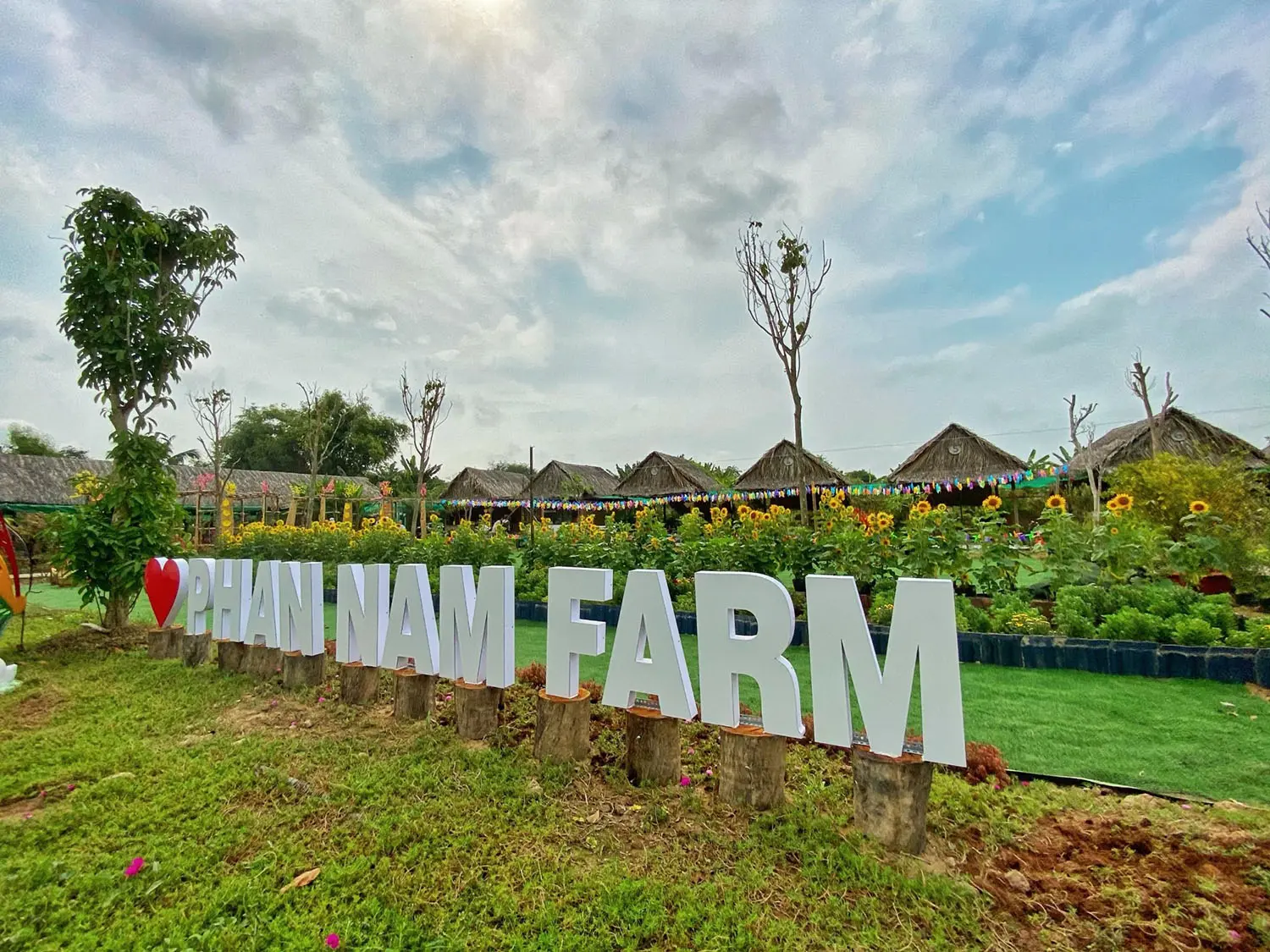 N&ocirc;ng trại Phan Nam, khu vườn xanh b&aacute;t ng&aacute;t giữa l&ograve;ng An Giang 2