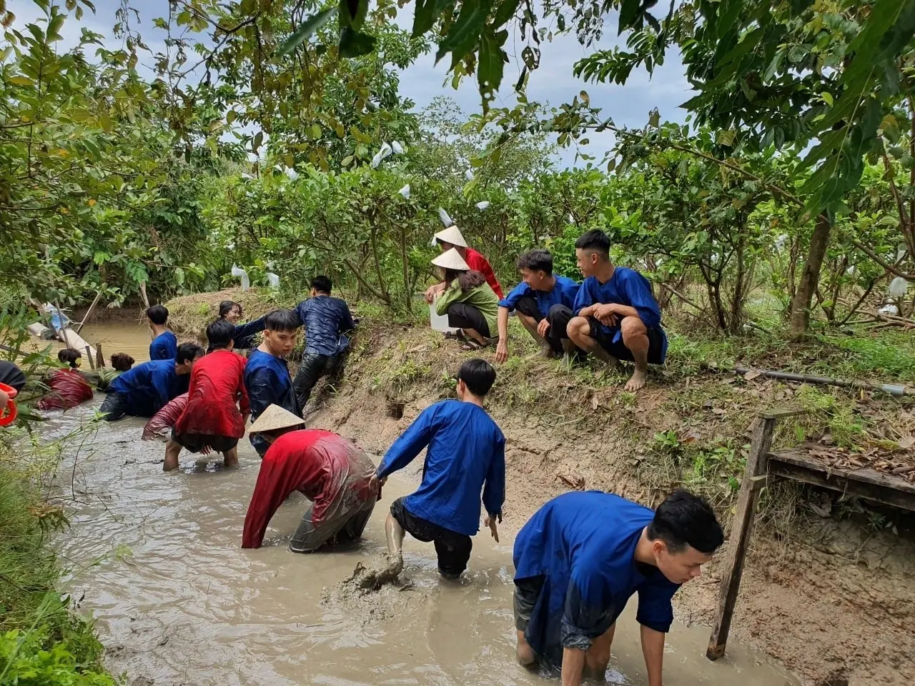 N&ocirc;ng trại Phan Nam, khu vườn xanh b&aacute;t ng&aacute;t giữa l&ograve;ng An Giang 11