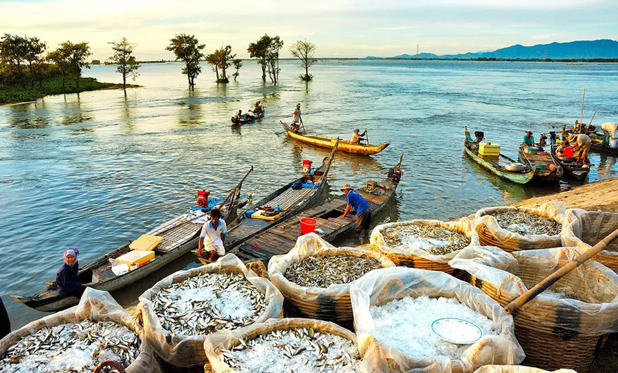Vẻ đẹp m&ugrave;a nước nổi An Giang khiến bất cứ ai cũng phải say l&ograve;ng 7