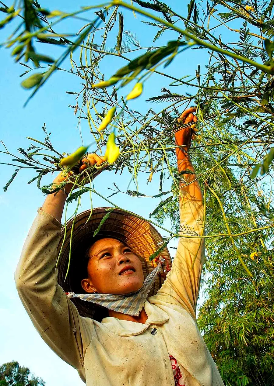 Vẻ đẹp m&ugrave;a nước nổi An Giang khiến bất cứ ai cũng phải say l&ograve;ng 10