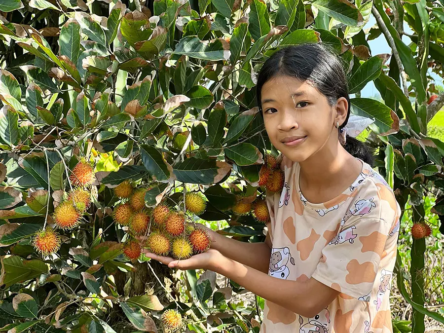 Vườn ch&ocirc;m ch&ocirc;m anh Lẹ N&uacute;i Sập, loại h&igrave;nh du lịch miệt vườn th&uacute; vị 3