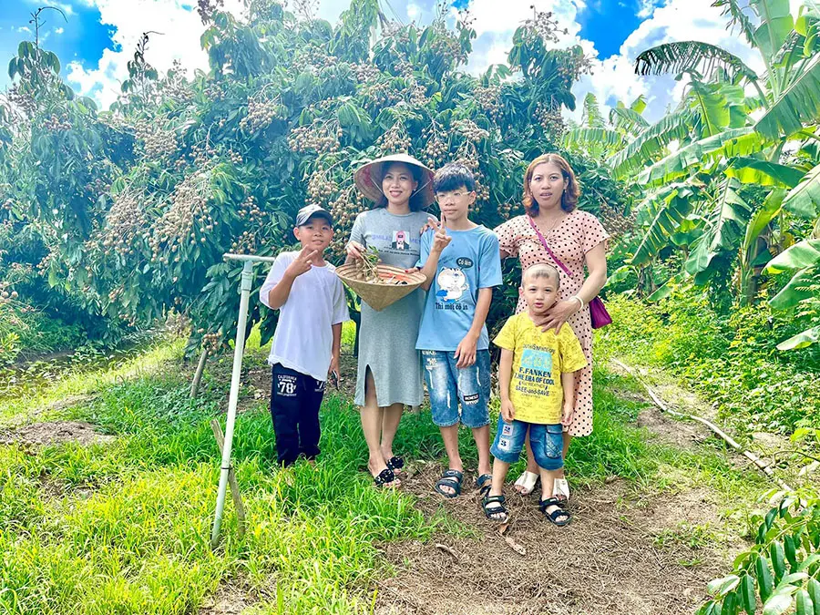 Vườn nh&atilde;n IDO &Uacute;t Nh&igrave; Chợ Mới, mộc mạc hương vị c&acirc;y tr&aacute;i miền T&acirc;y 2