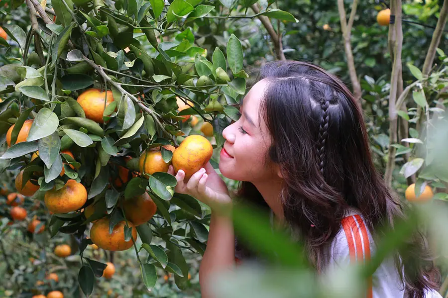 Vườn qu&yacute;t &Ocirc; Một Cột, toạ độ si&ecirc;u hấp dẫn d&agrave;nh cho hội m&ecirc; x&ecirc; dịch 5