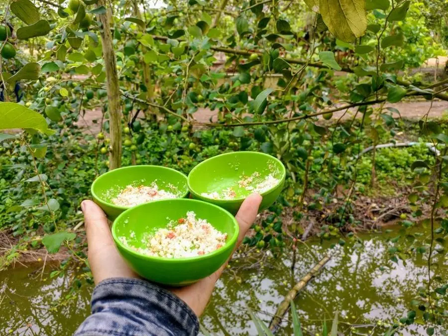 Vườn t&aacute;o hồng Long Xuy&ecirc;n v&agrave; những điều th&uacute; vị bạn n&ecirc;n kh&aacute;m ph&aacute; 5