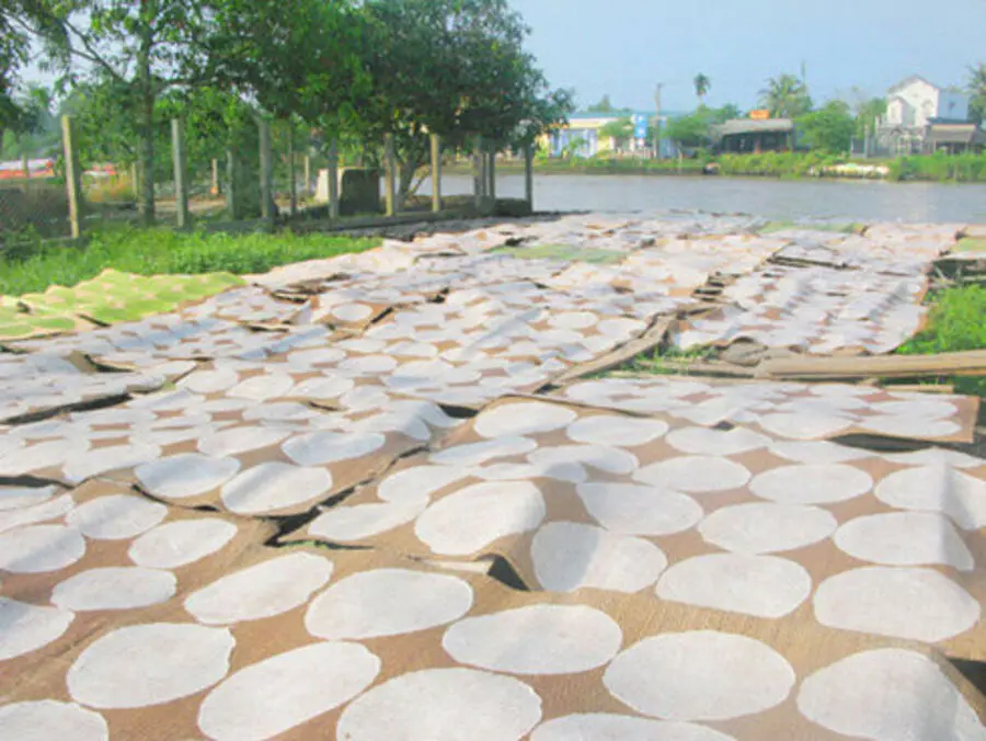 Về thăm làng nghề bánh tráng Mỹ Khánh gần 70 năm tuổi ở An Giang
