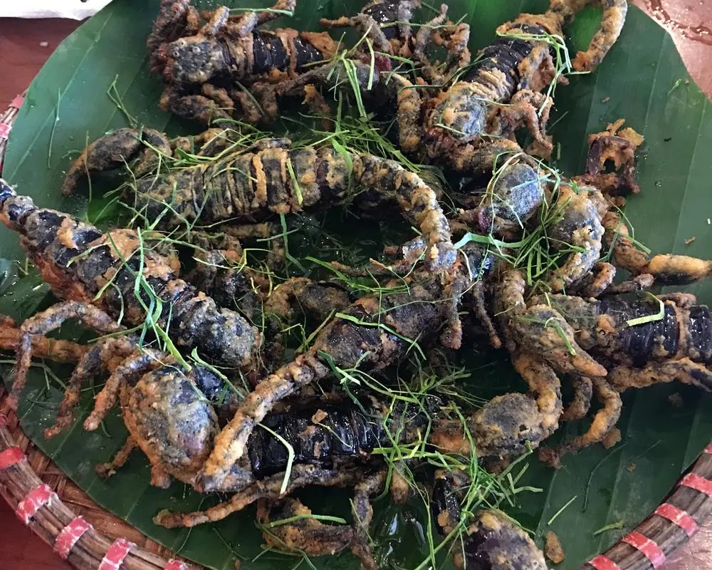B&ograve; cạp Bảy N&uacute;i An Giang, đặc sản kỳ lạ th&aacute;ch thức mọi gi&aacute;c quan 4