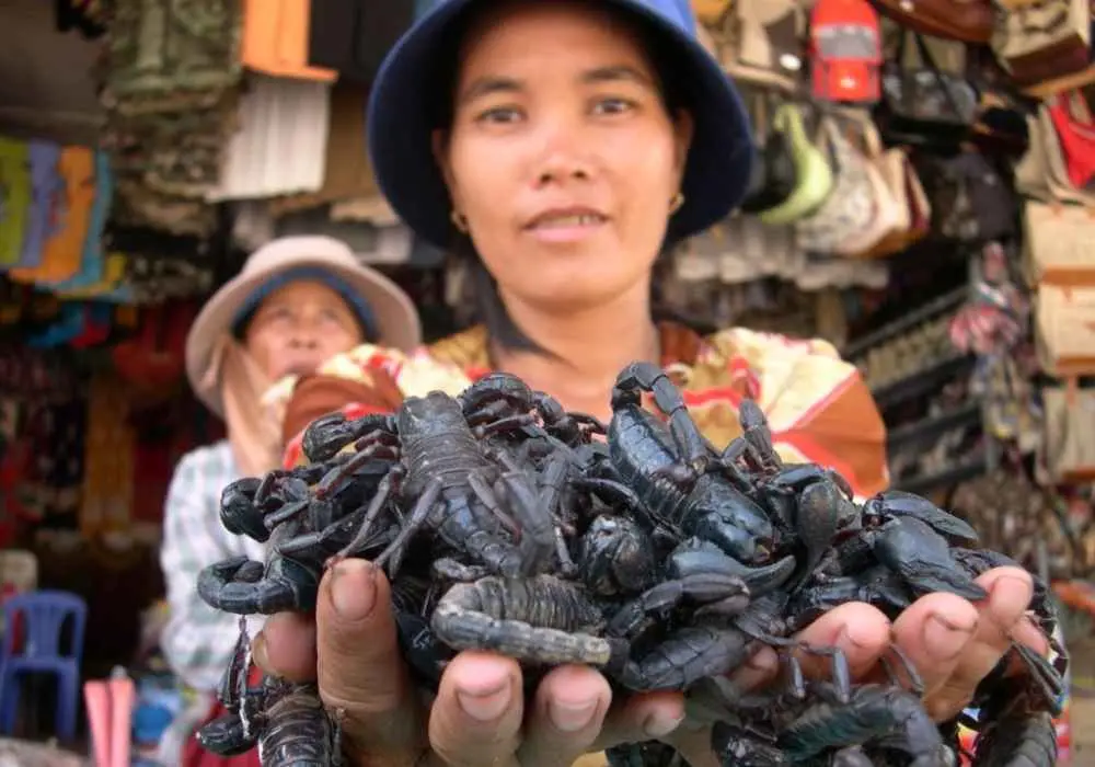B&ograve; cạp Bảy N&uacute;i An Giang, đặc sản kỳ lạ th&aacute;ch thức mọi gi&aacute;c quan 3