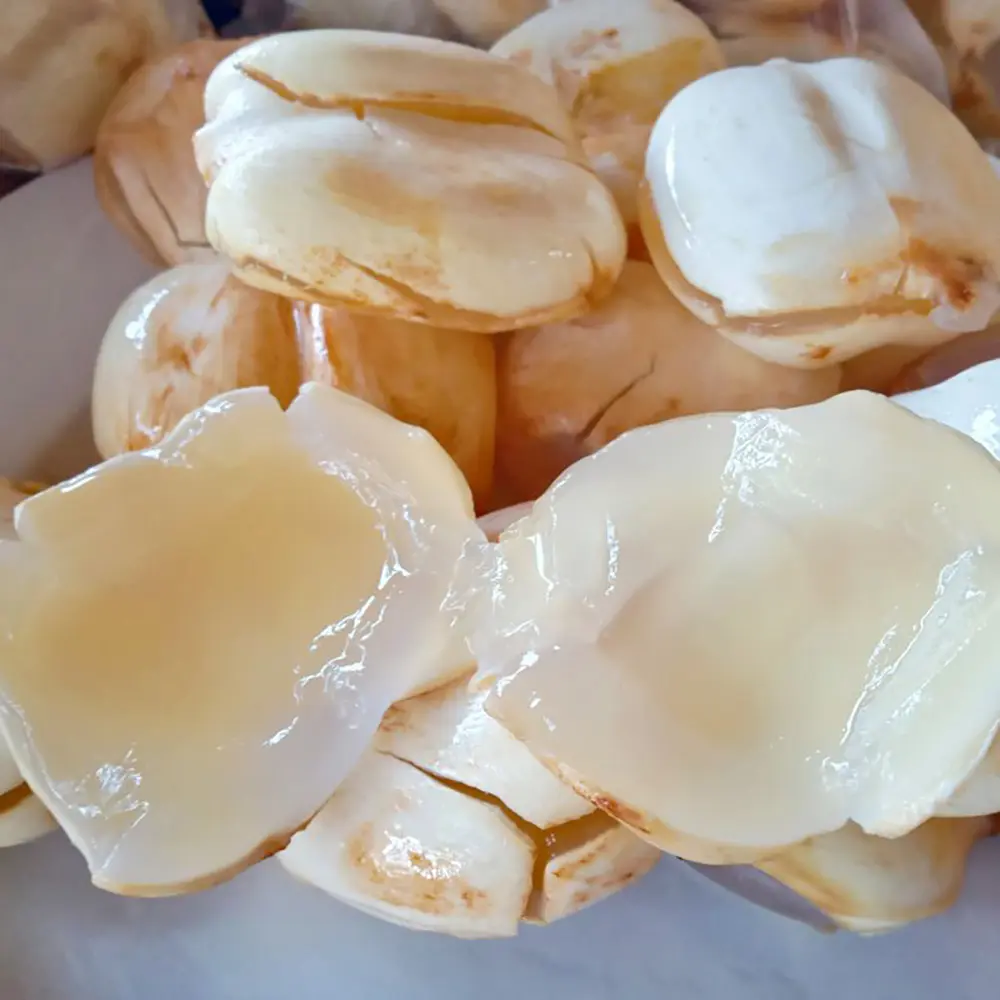 C&acirc;y Thốt nốt An Giang, thức qu&agrave; qu&yacute; gi&aacute; đến từ thi&ecirc;n nhi&ecirc;n 6