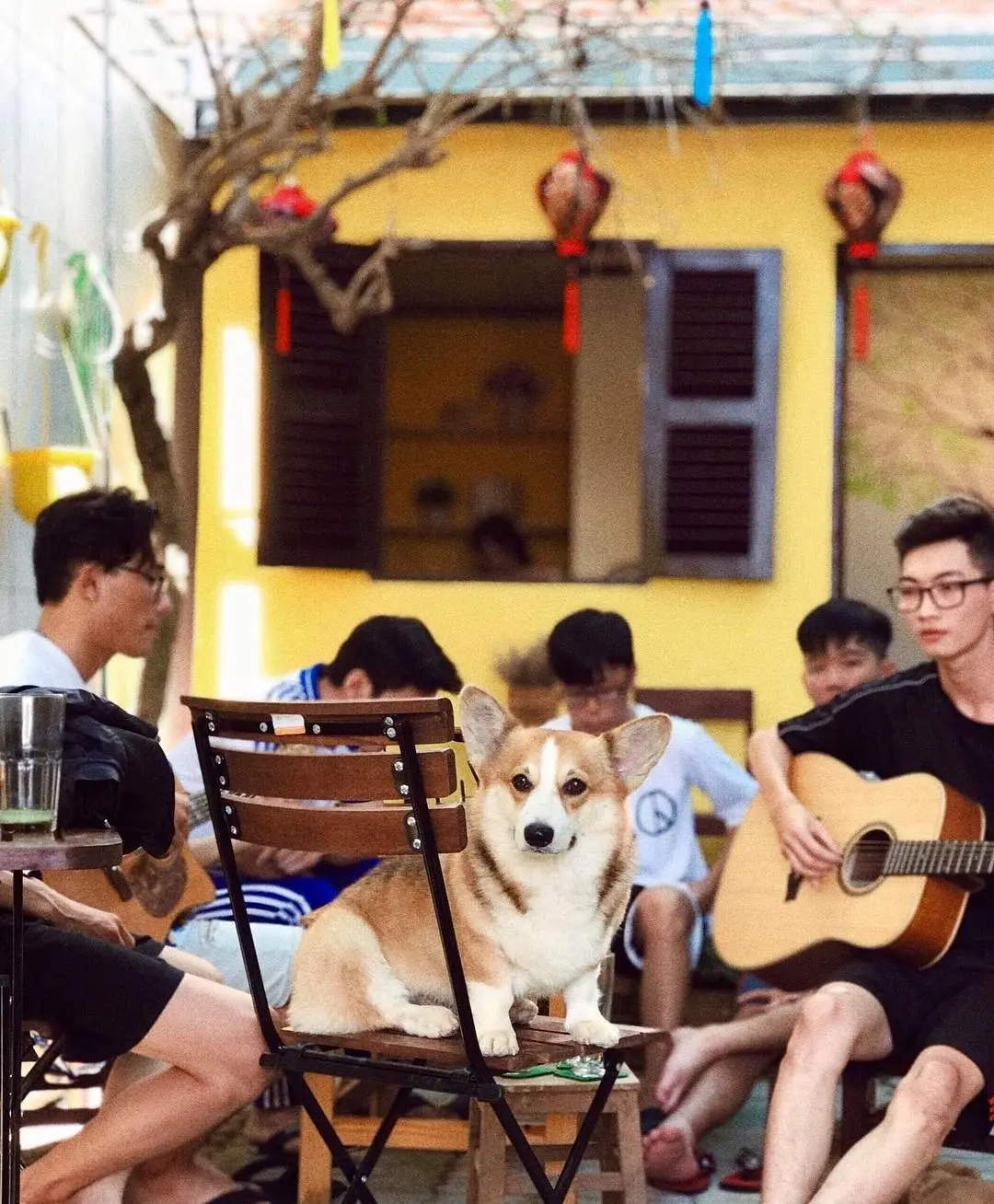 Đi t&igrave;m những Qu&aacute;n cafe vintage ở An Giang chuẩn thời &ldquo;&ocirc;ng b&agrave; anh&rdquo; 4