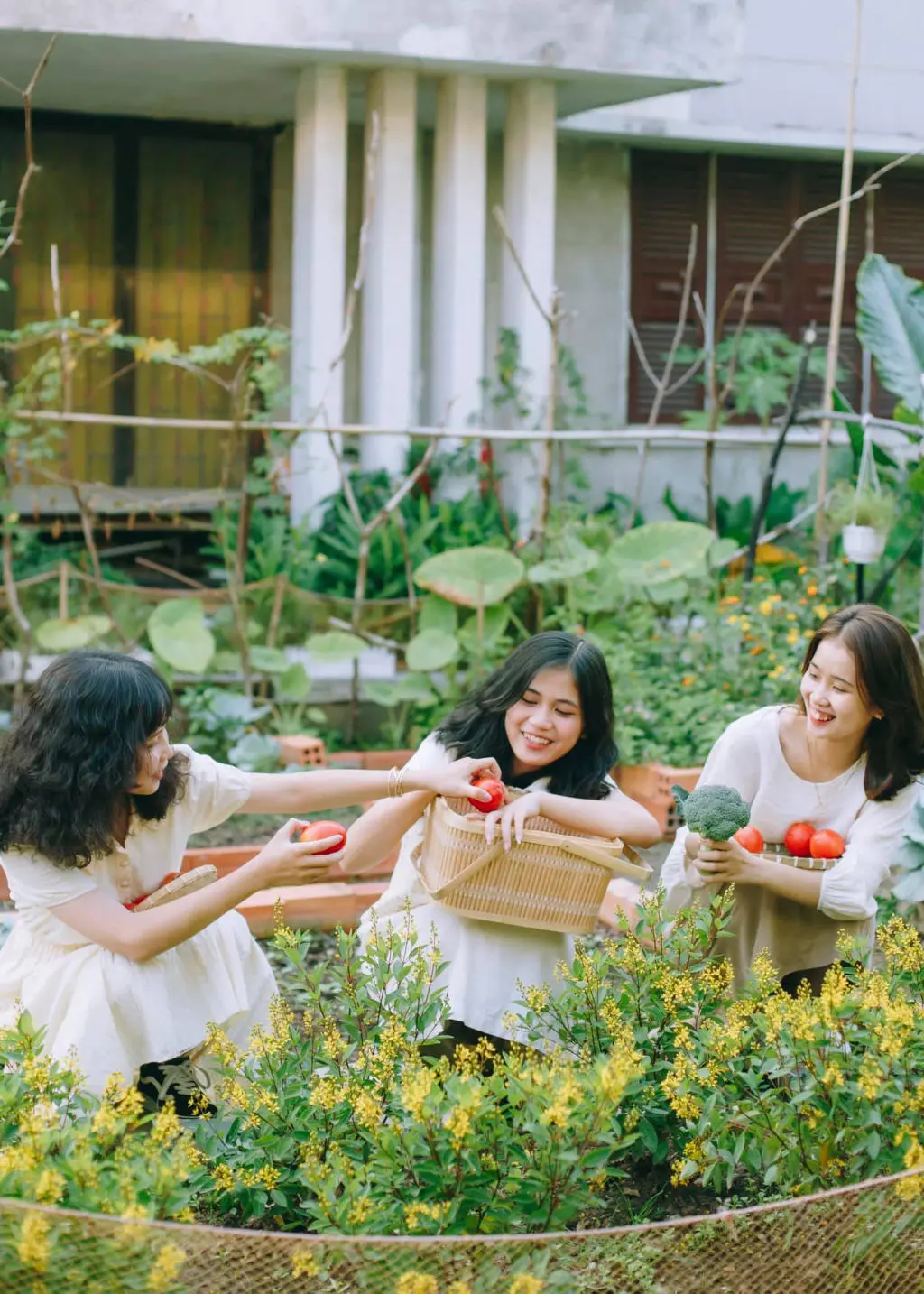 Qu&aacute;n c&agrave; ph&ecirc; Khu Vườn B&igrave;nh Y&ecirc;n, n&eacute;t mộc mạc s&acirc;u trong con hẻm nhỏ 6