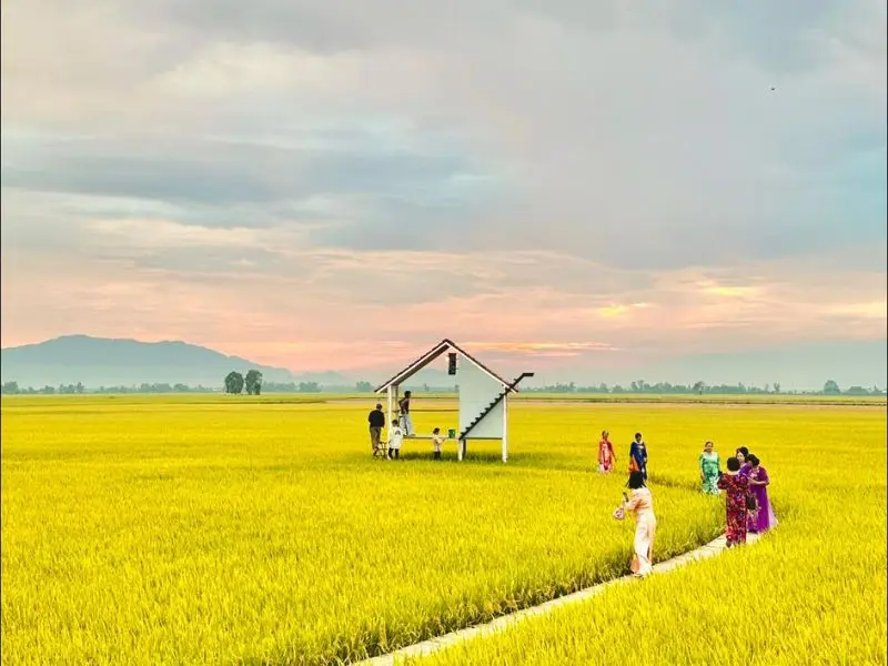 Tiệm c&agrave; ph&ecirc; Nh&agrave; Qu&ecirc;: Hơi thở b&igrave;nh y&ecirc;n giữa c&aacute;nh đồng An Giang 5